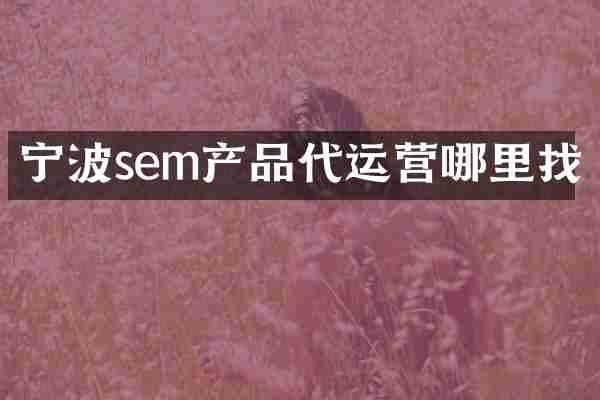 宁波sem产品代运营哪里找