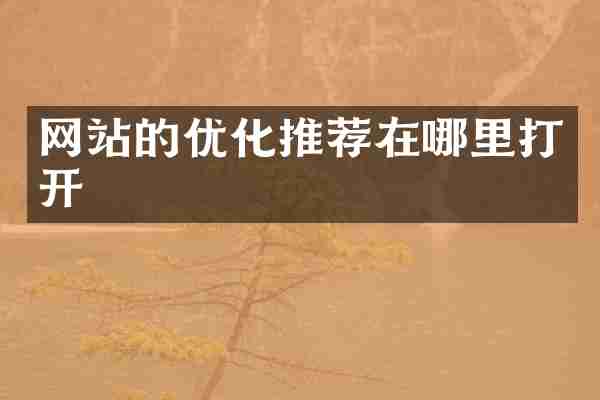 网站的优化推荐在哪里打开