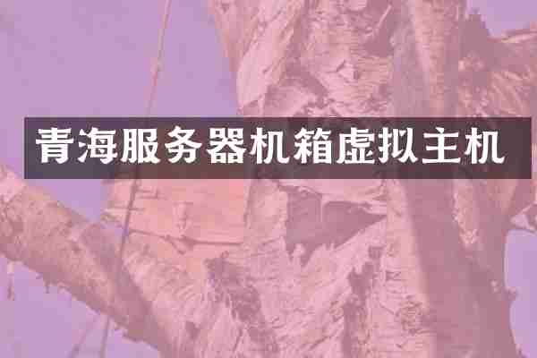 青海服务器机箱虚拟主机