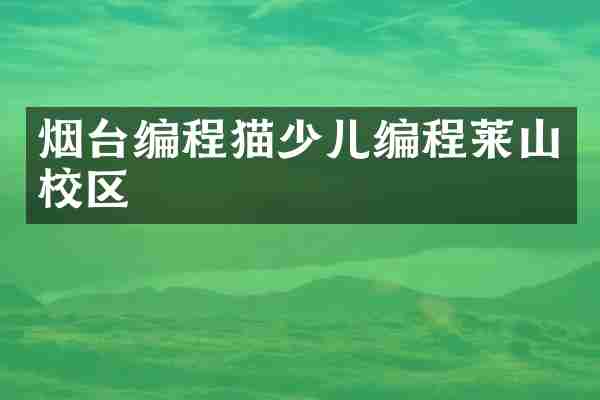 烟台编程猫少儿编程莱山校区