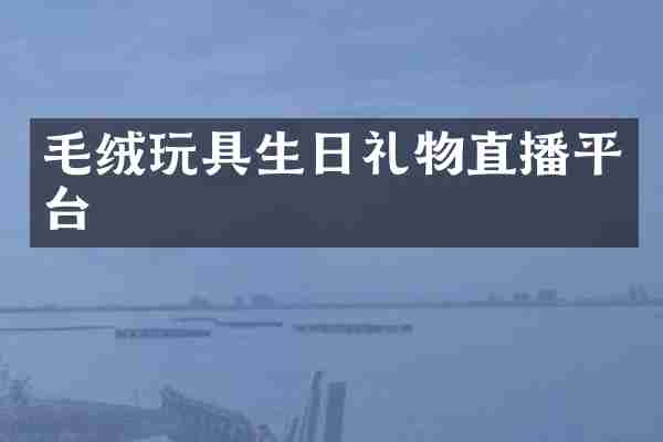 毛绒玩具生日礼物直播平台