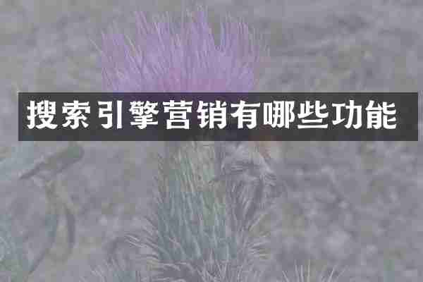 搜索引擎营销有哪些功能
