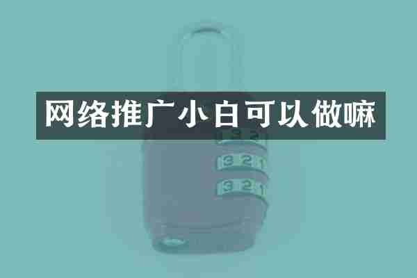 网络推广小白可以做嘛