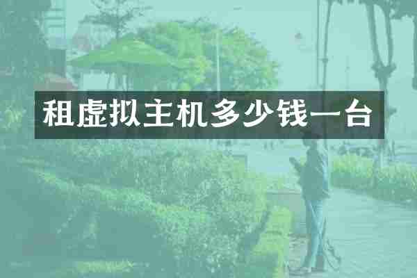 租虚拟主机多少钱一台