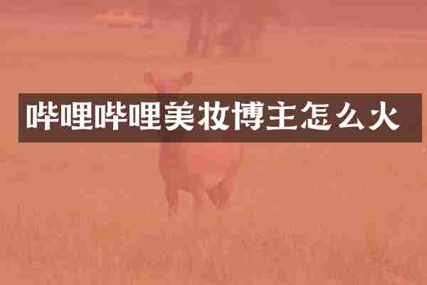 哔哩哔哩美妆博主怎么火