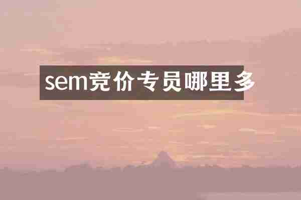 sem竞价专员哪里多