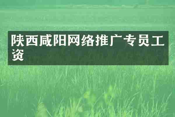 陕西咸阳网络推广专员工资