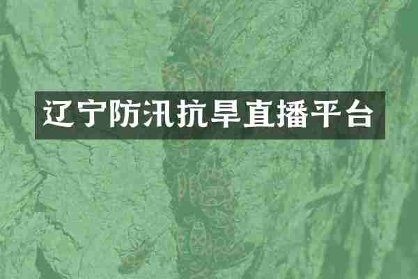 辽宁防汛抗旱直播平台