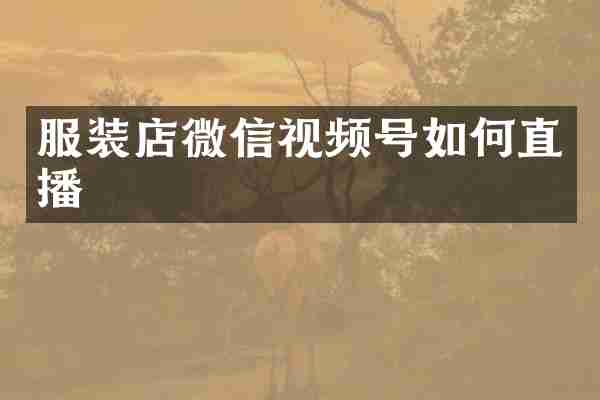 服装店微信视频号如何直播