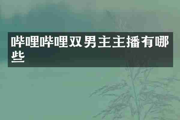 哔哩哔哩双男主主播有哪些