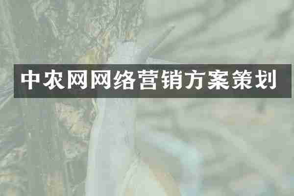 中农网网络营销方案策划