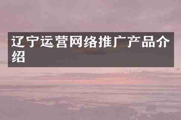 辽宁运营网络推广产品介绍