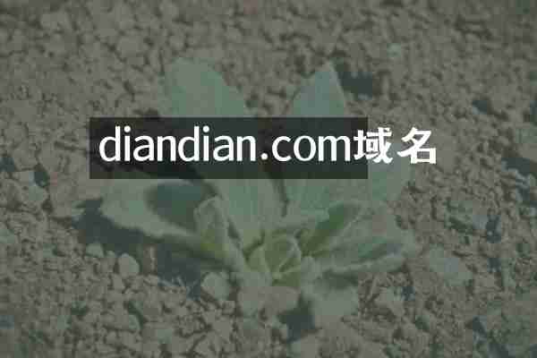 diandian.com域名