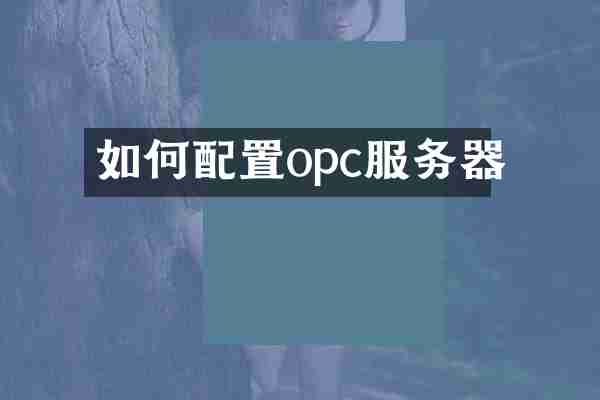 如何配置opc服务器