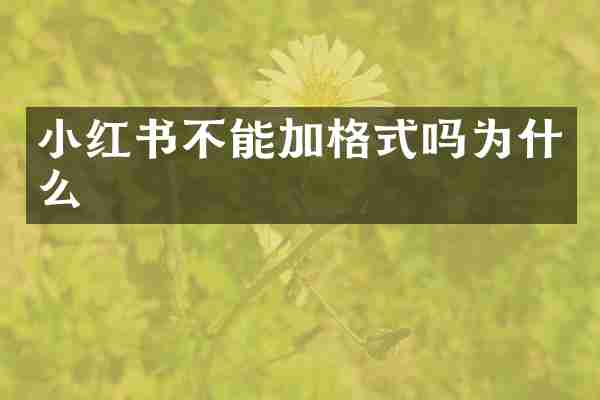 小红书不能加格式吗为什么