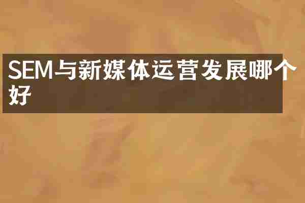 SEM与新媒体运营发展哪个好