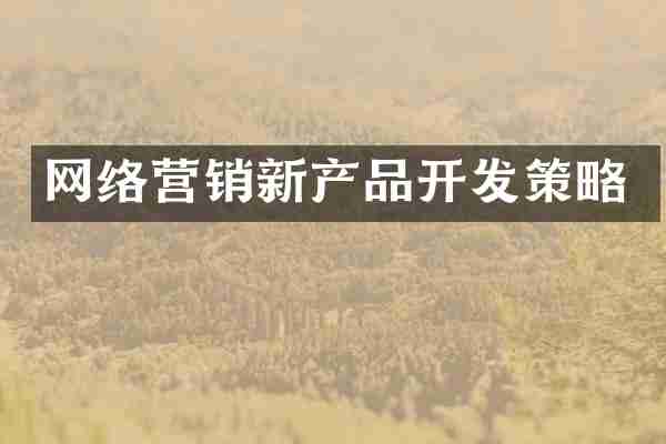 网络营销新产品开发策略