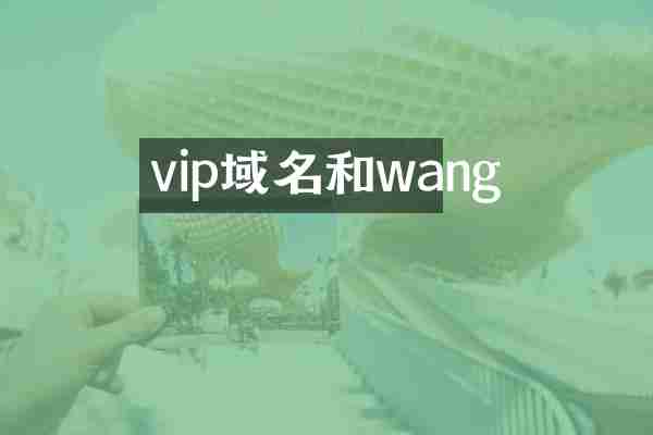 vip域名和wang