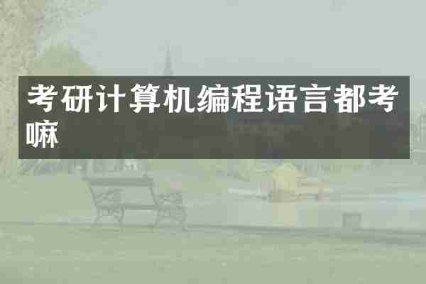 考研计算机编程语言都考嘛