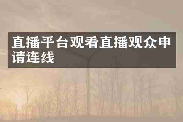 直播平台观看直播观众申请连线