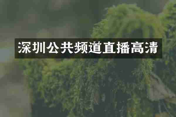 深圳公共频道直播高清