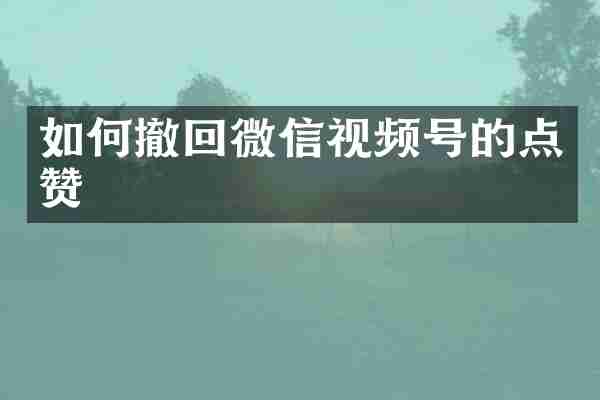 如何撤回微信视频号的点赞