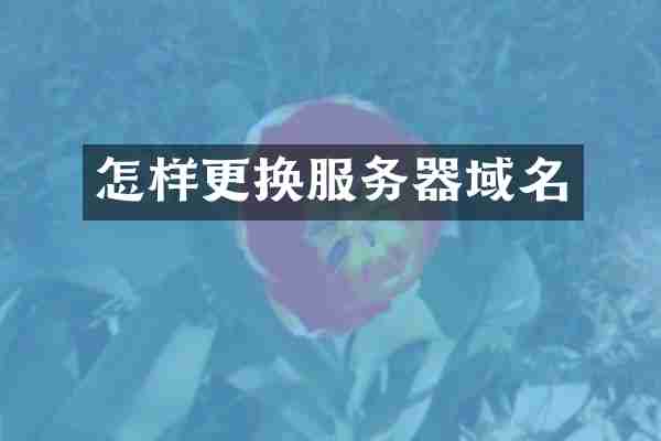 怎样更换服务器域名