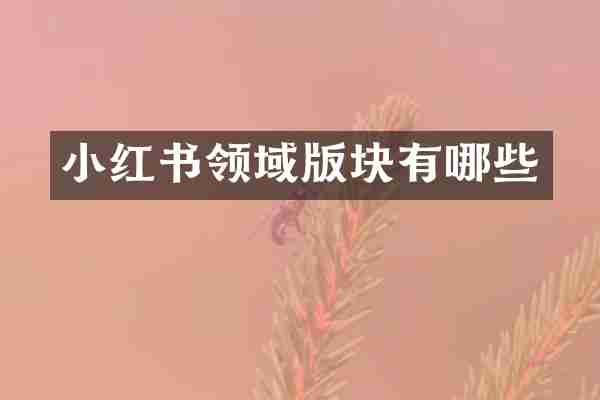 小红书领域版块有哪些