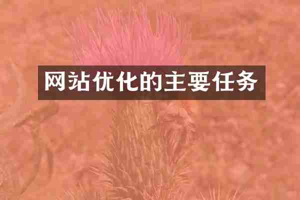 网站优化的主要任务