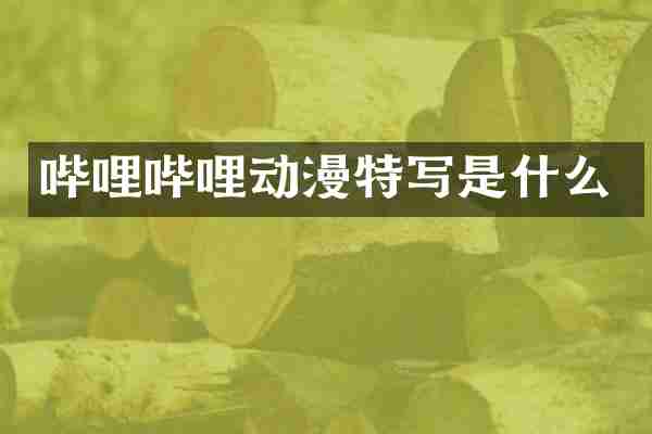 哔哩哔哩动漫特写是什么