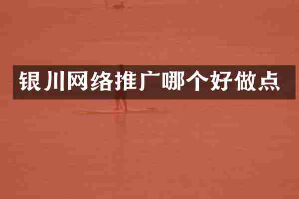 银川网络推广哪个好做点
