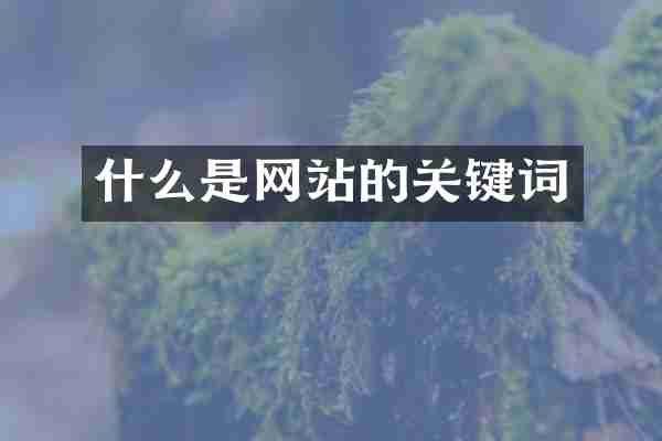 什么是网站的关键词