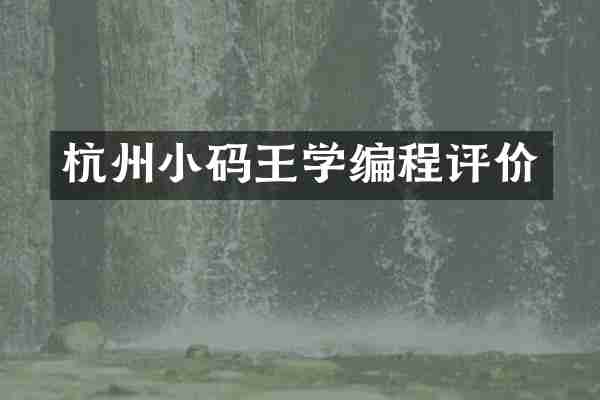杭州小码王学编程评价