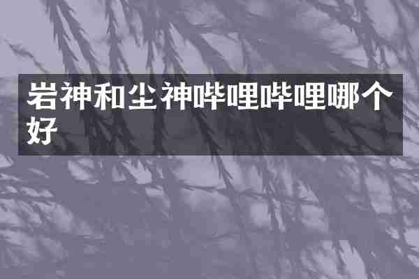 岩神和尘神哔哩哔哩哪个好