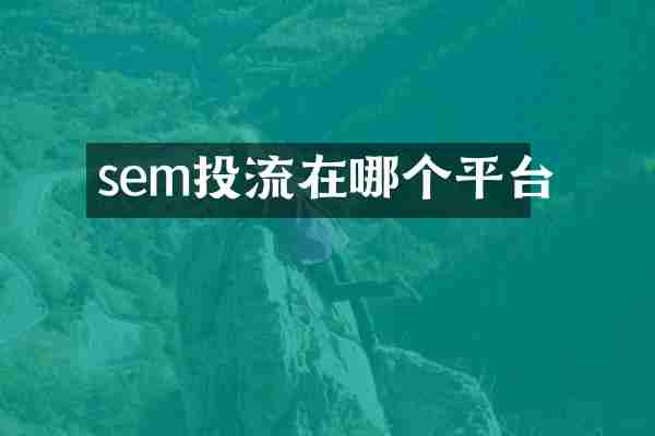 sem投流在哪个平台
