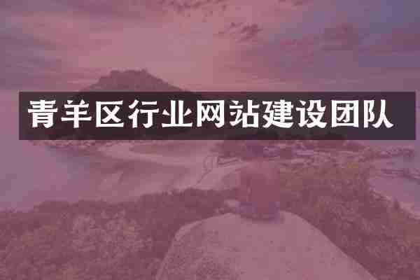 青羊区行业网站建设团队