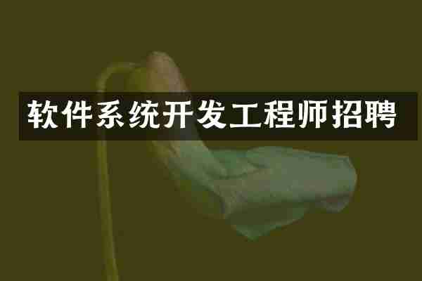 软件系统开发工程师招聘