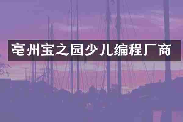 亳州宝之园少儿编程厂商