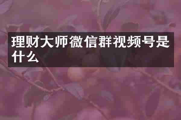 理财大师微信群视频号是什么