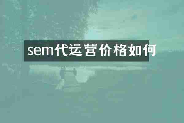 sem代运营价格如何