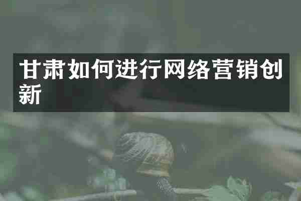 甘肃如何进行网络营销创新