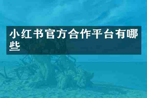 小红书官方合作平台有哪些