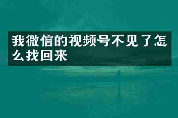 我微信的视频号不见了怎么找回来