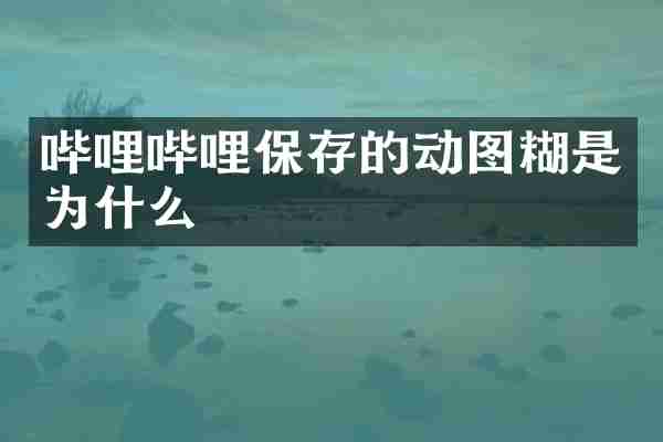 哔哩哔哩保存的动图糊是为什么