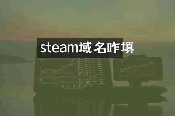 steam域名咋填