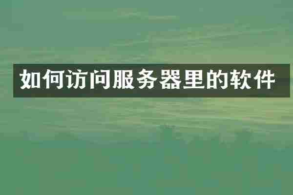 如何访问服务器里的软件
