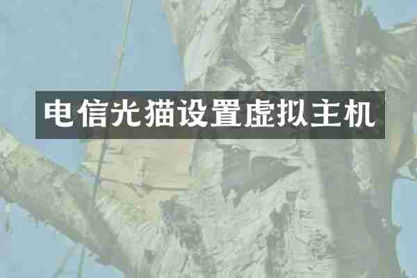 电信光猫设置虚拟主机