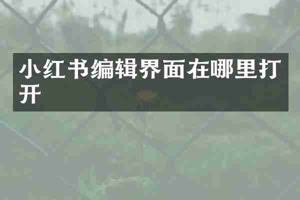 小红书编辑界面在哪里打开