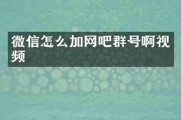 微信怎么加网吧群号啊视频