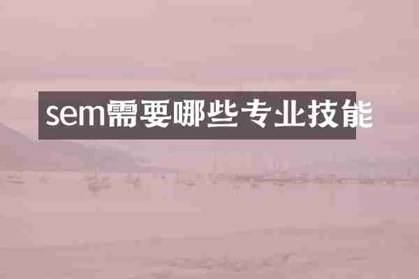 sem需要哪些专业技能